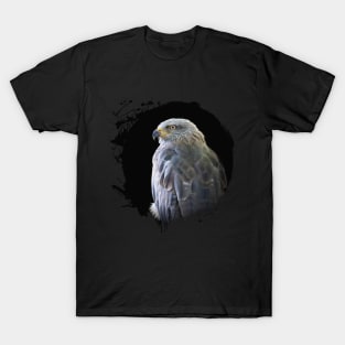 Kite Bird Animal Wildlife Forest Nature Free Flight T-Shirt